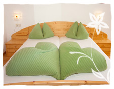 Appartamento - Valle Aurina